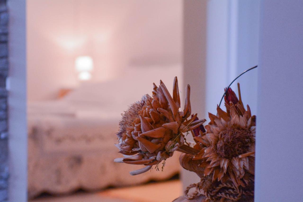 Apartment Martinovic